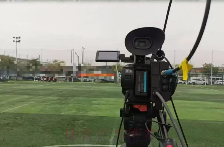 观看2008世界杯足球赛直播全程精彩赛事分析